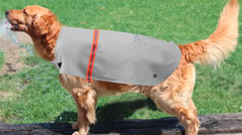 Regenmantel für kleine Hunde, Regenmantel für kleine Hunde bei Regenwetter