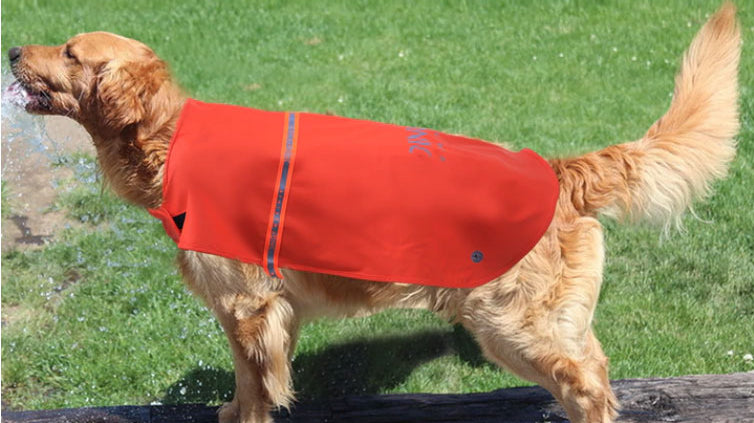 Hunderegenmantel wasserdicht, Artefakt für Hundespaziergänge an regnerischen Tagen