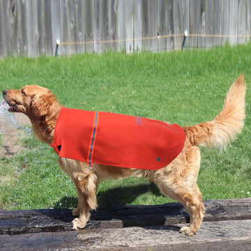 Hund Regenjacke  PU-Regenmantel für Hunde Diggy