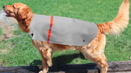 Regenmantel für kleine Hunde, Regenmantel für kleine Hunde bei Regenwetter