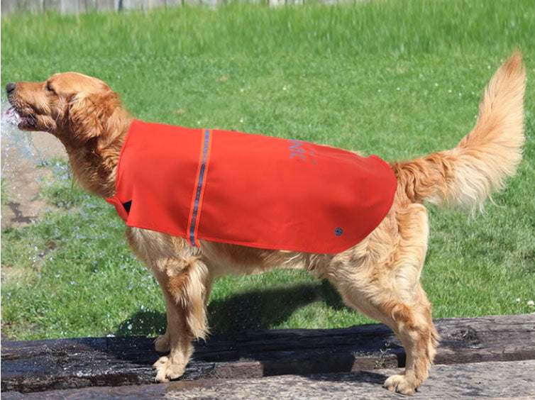 Hunderegenmantel wasserdicht, Artefakt für Hundespaziergänge an regnerischen Tagen