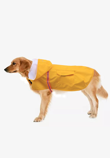 Hund Regenmantel Spring