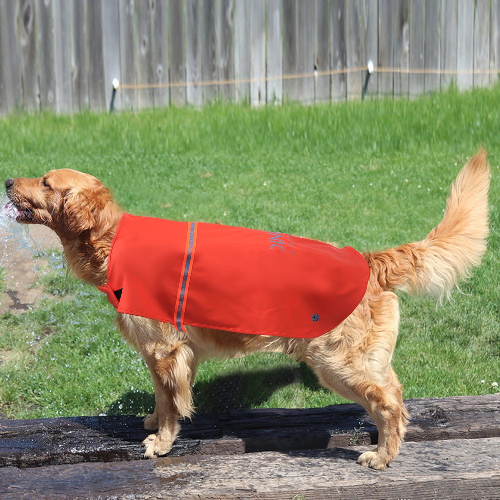 Red / 2XL Hund Regenjacke  PU-Regenmantel für Hunde Diggy