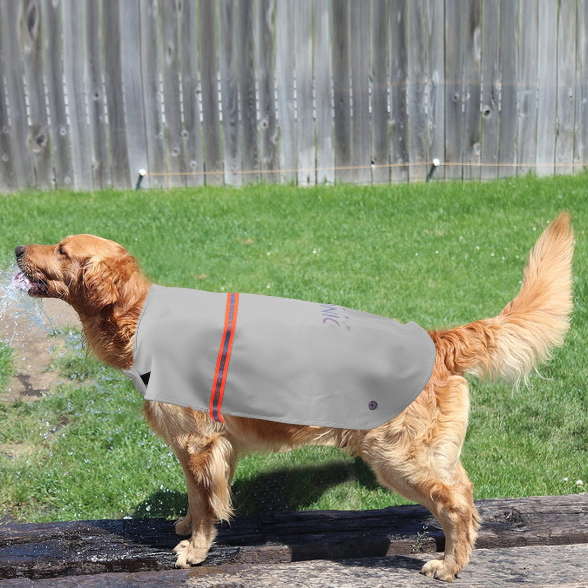 Stein / 2XL Hund Regenjacke  PU-Regenmantel für Hunde Diggy